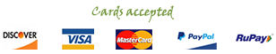 Payment we Accept